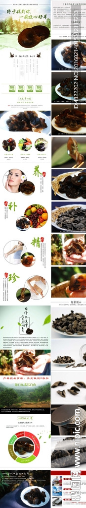 茶叶详情
