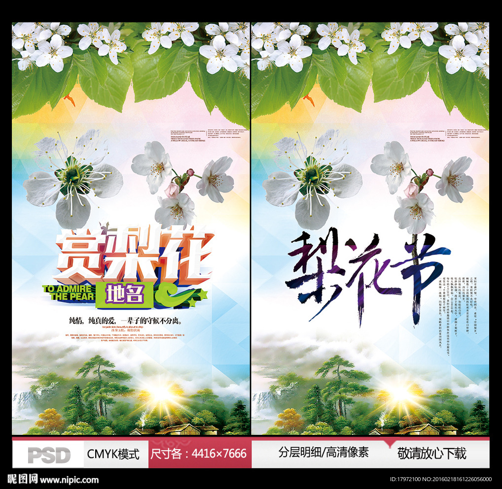 梨花节
