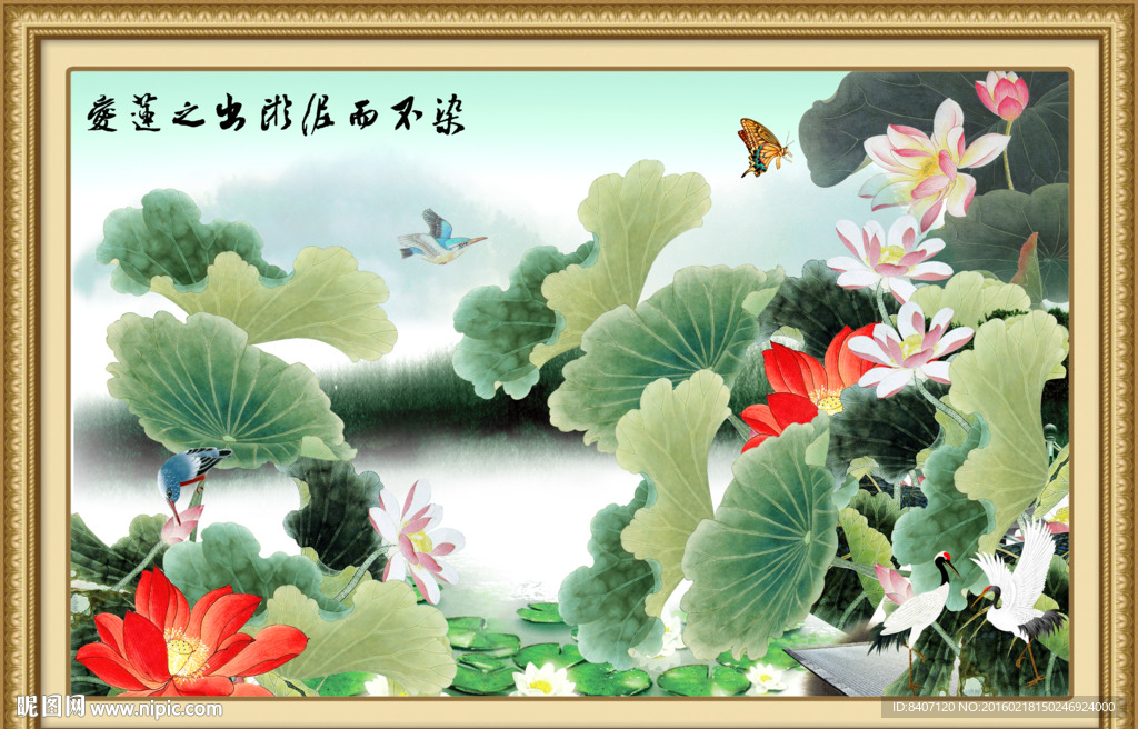 国画荷花