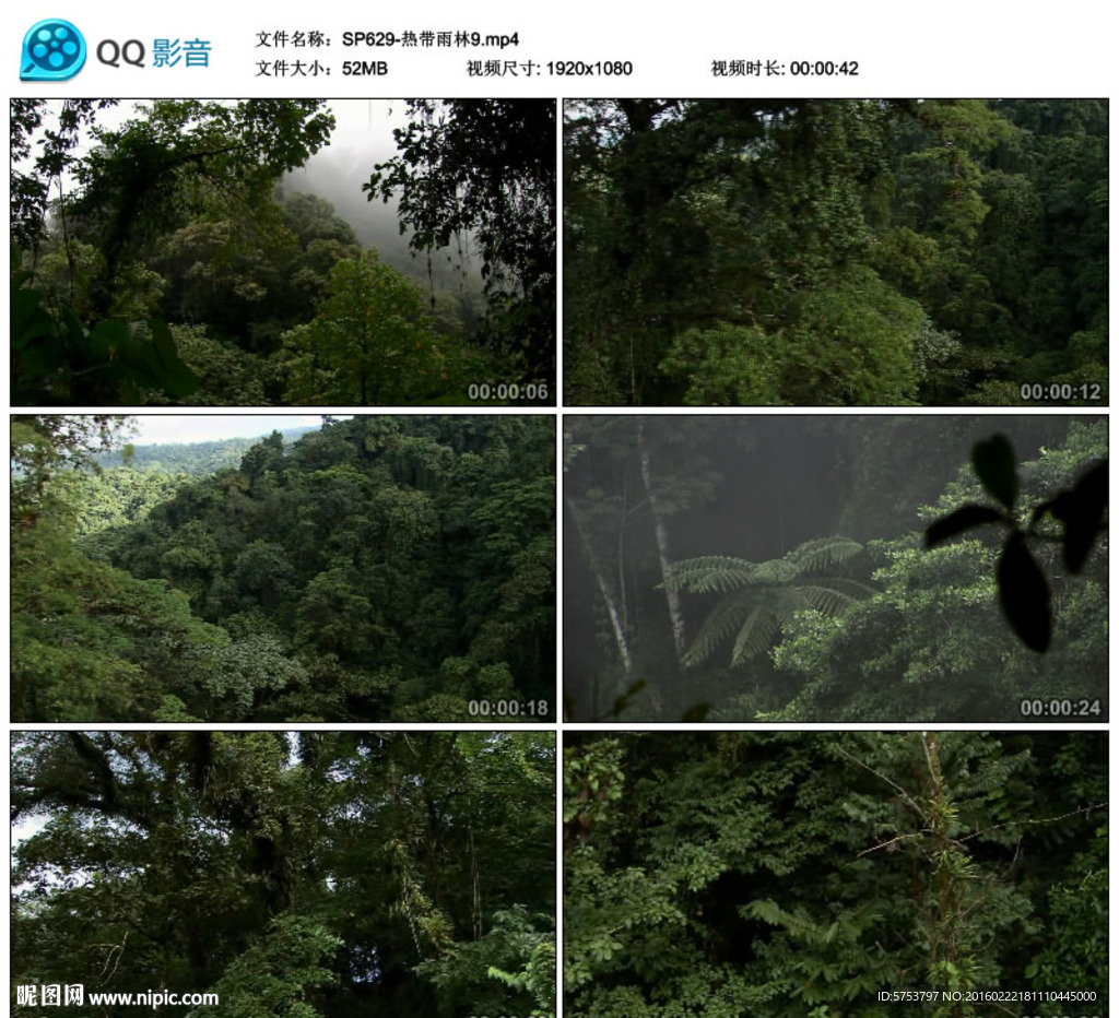 航拍森林热带雨林视频