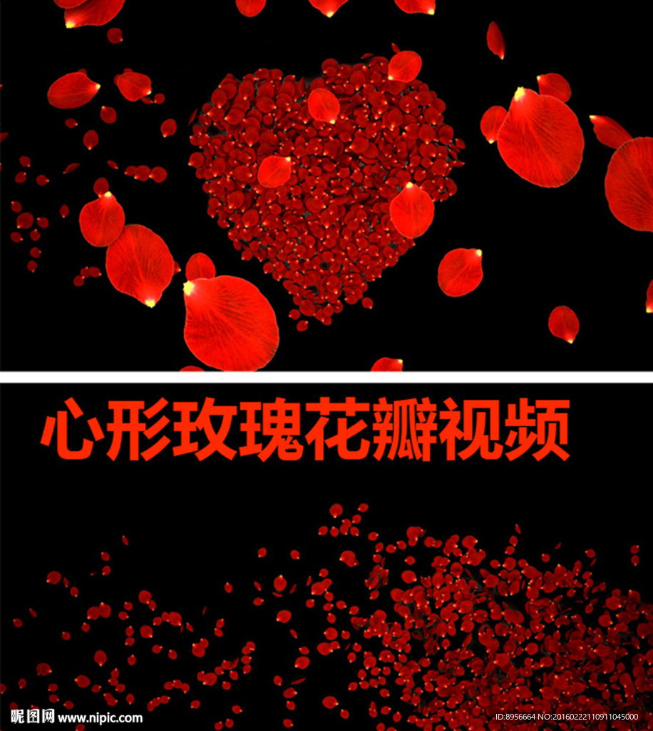 玫瑰花瓣视频素材心形飘落