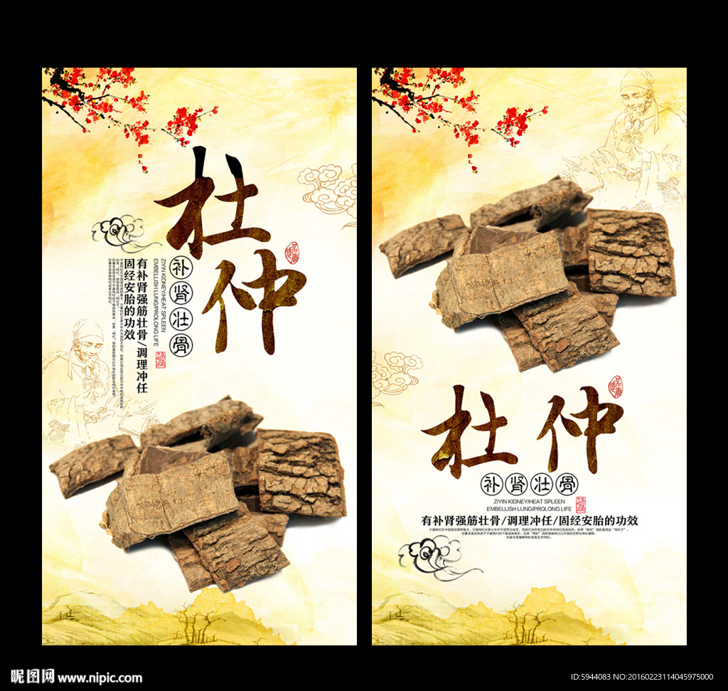 杜仲
