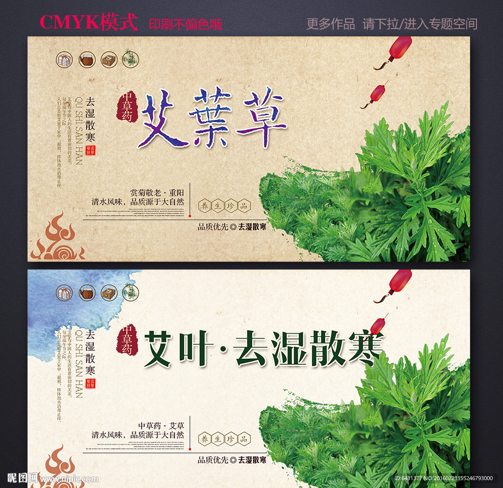 艾叶海报 中药艾叶