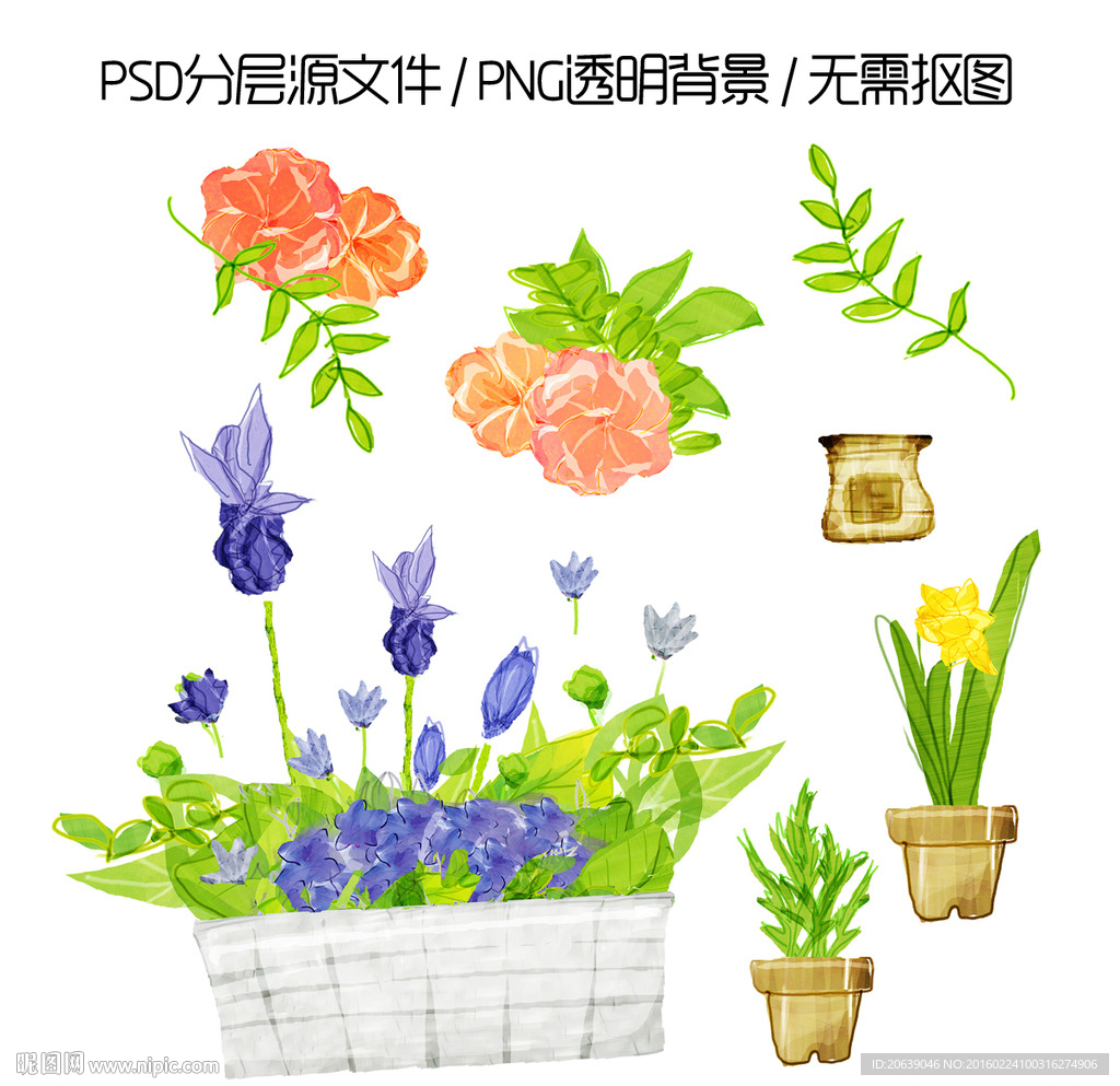 手绘花盆花篮插花