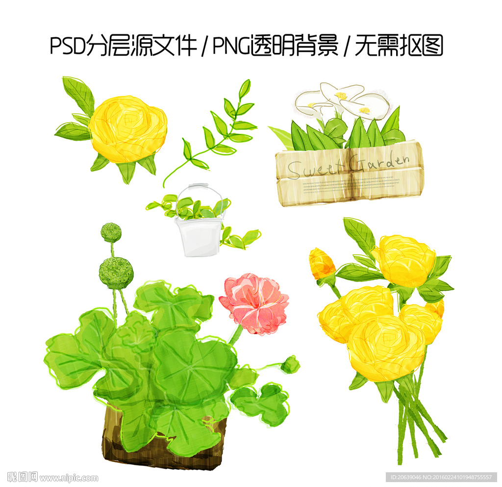 手绘玫瑰花与花卉