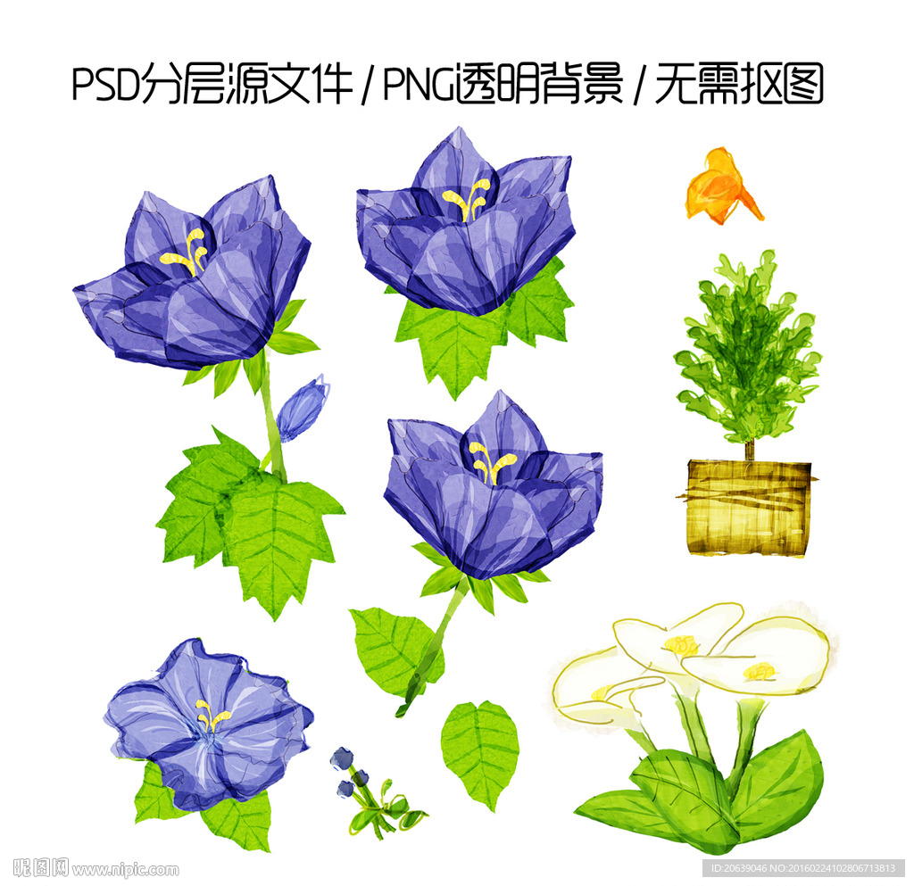 紫色花朵绿叶素材