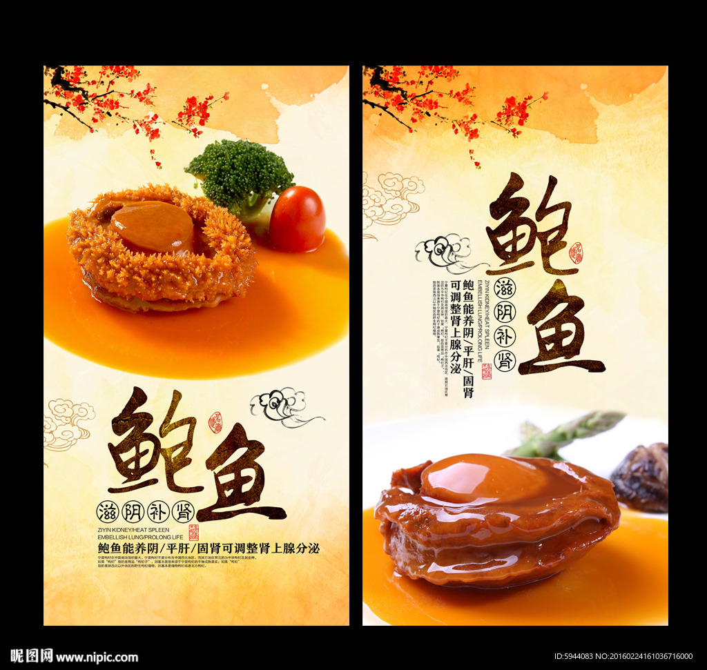 鲍鱼
