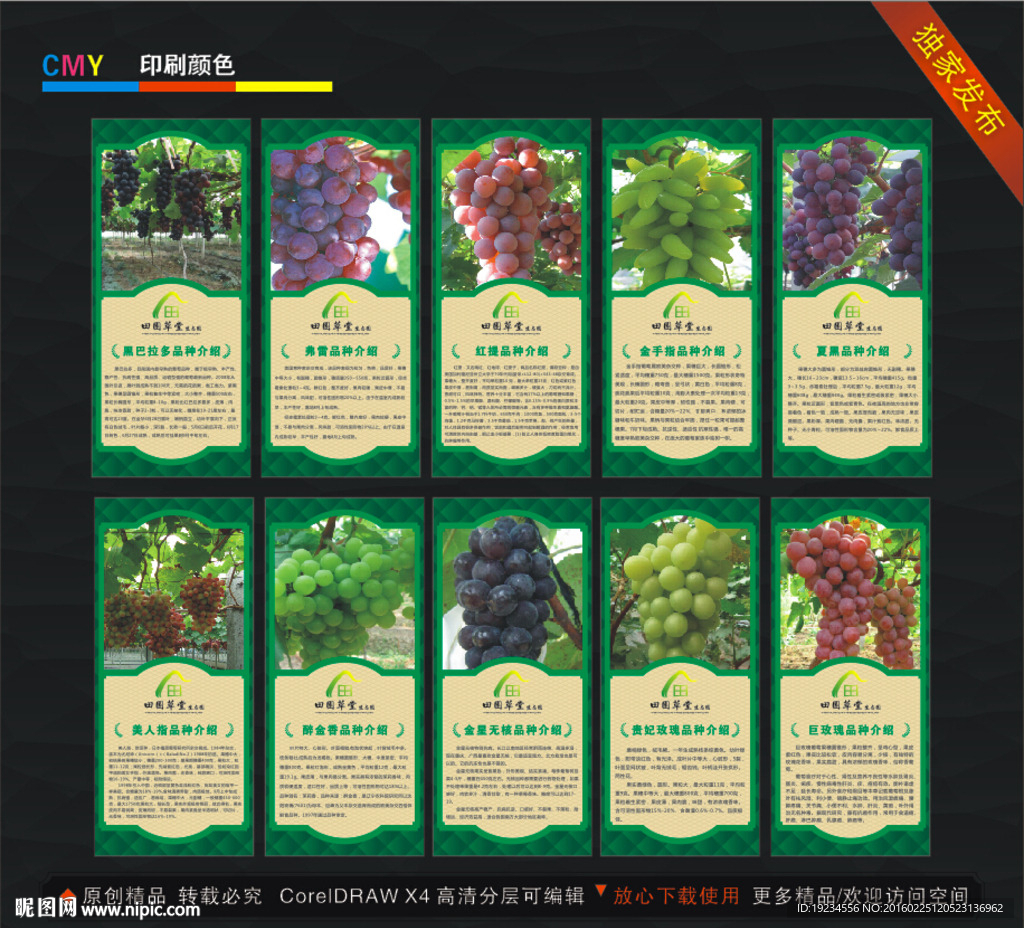 葡萄品种介绍