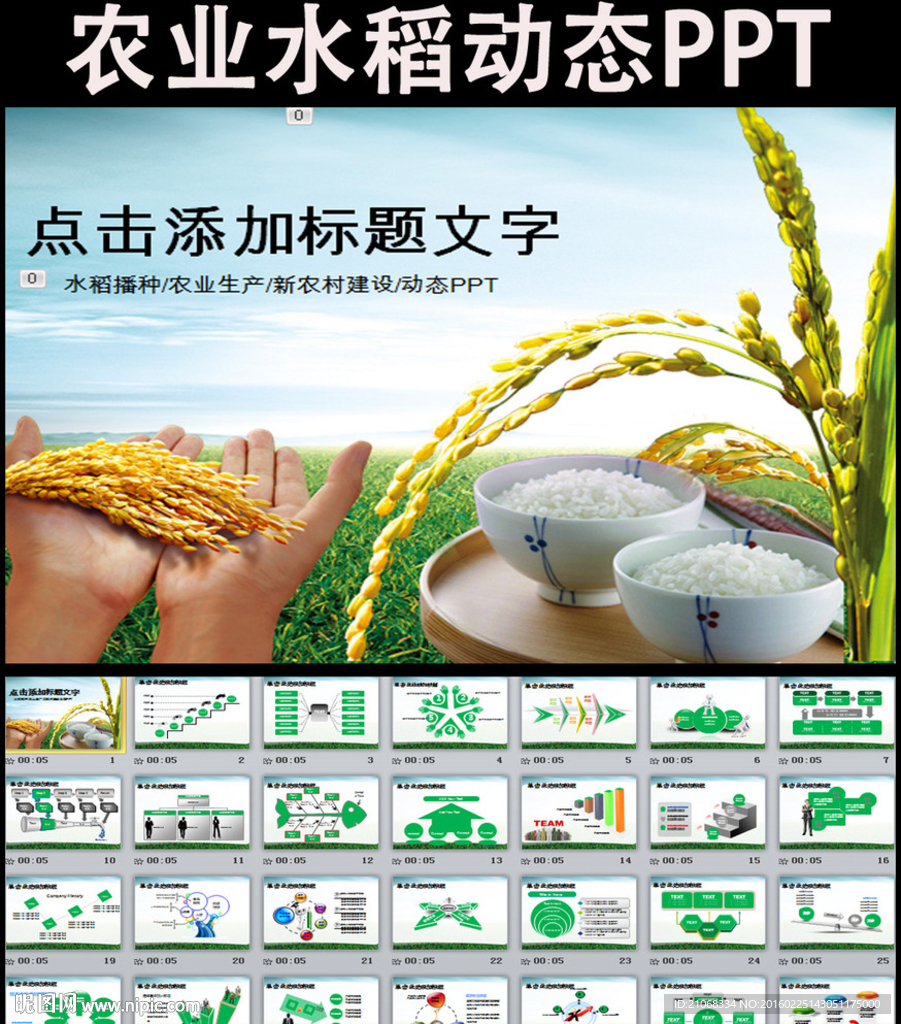 农业生产水稻播种新农村PPT