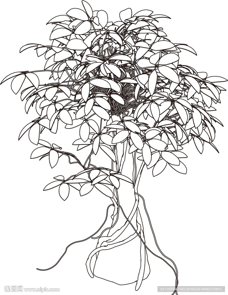 花 线描矢量图（超精细！）