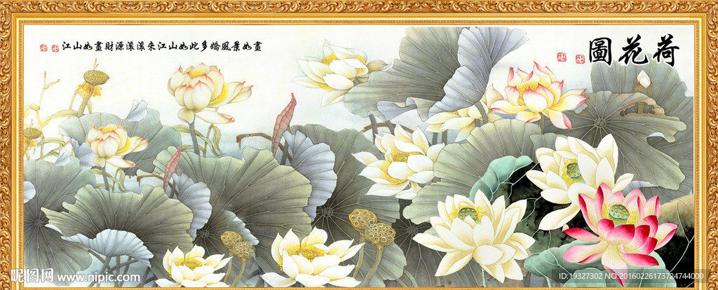 国画荷花
