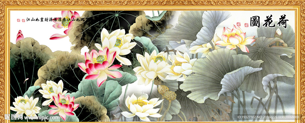 荷花