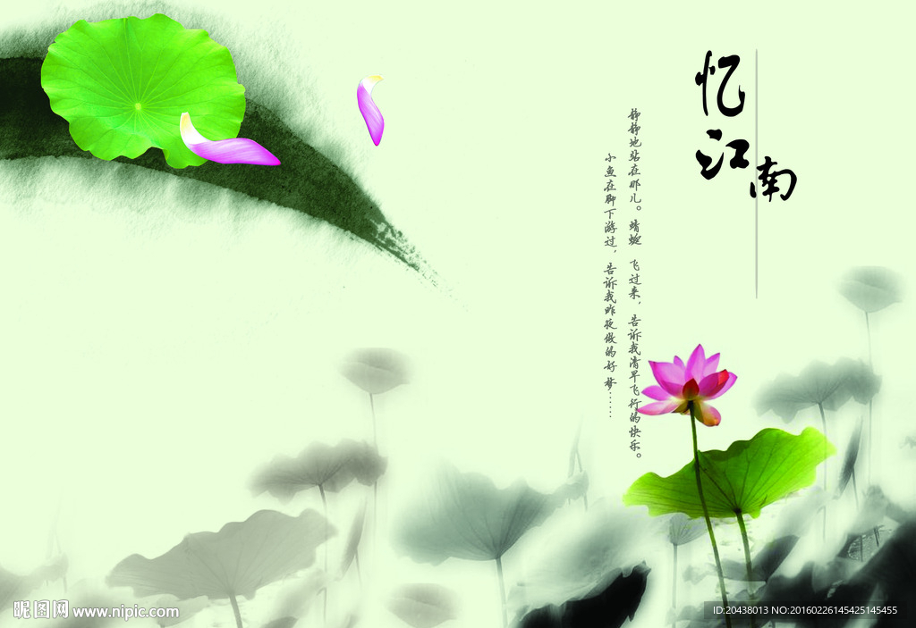 江南荷
