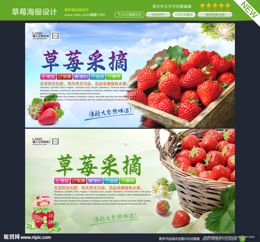 草莓 展板图片