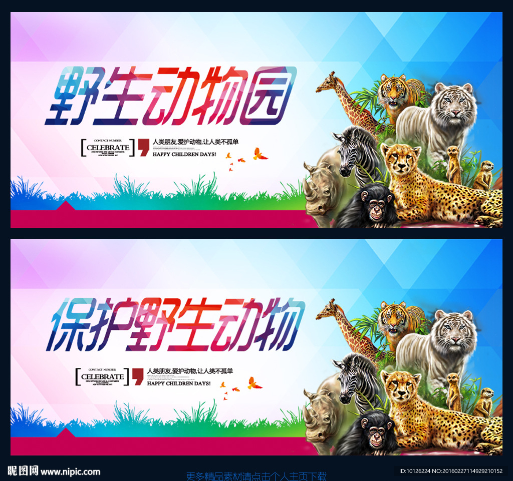 爱护动物