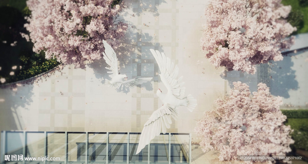 鸟瞰樱花树动画