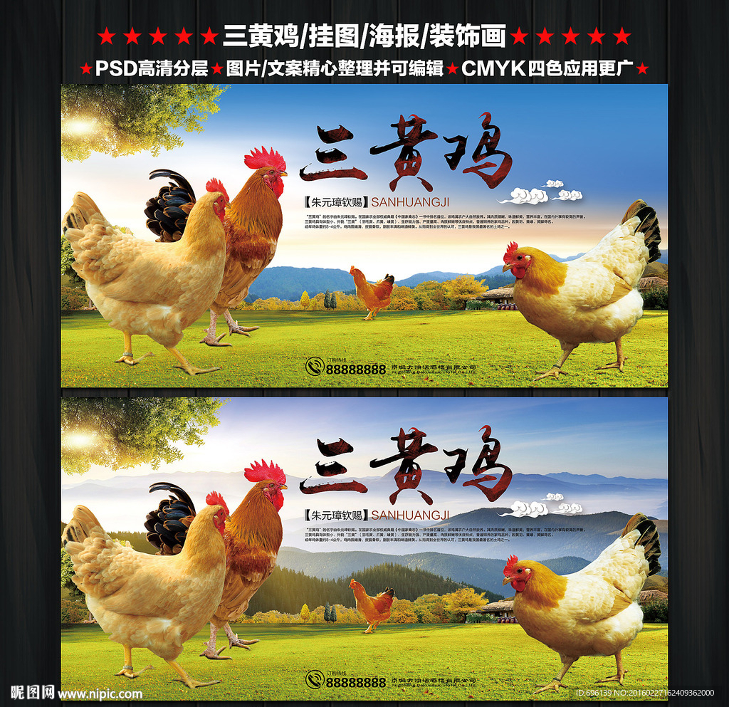 三黄鸡海报