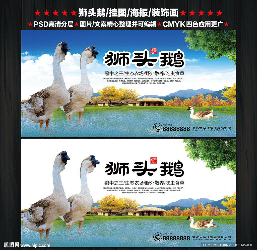 狮头鹅海报