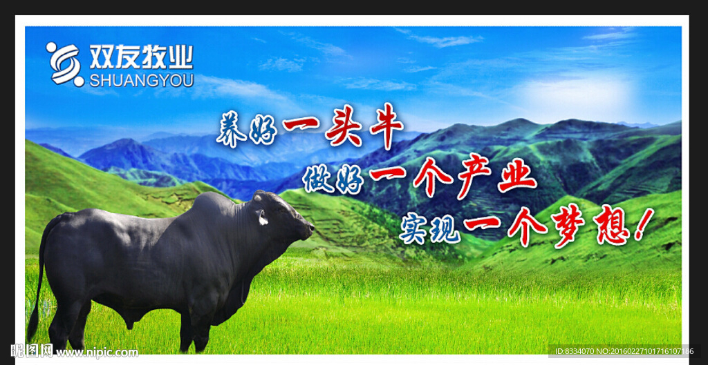 养殖牛