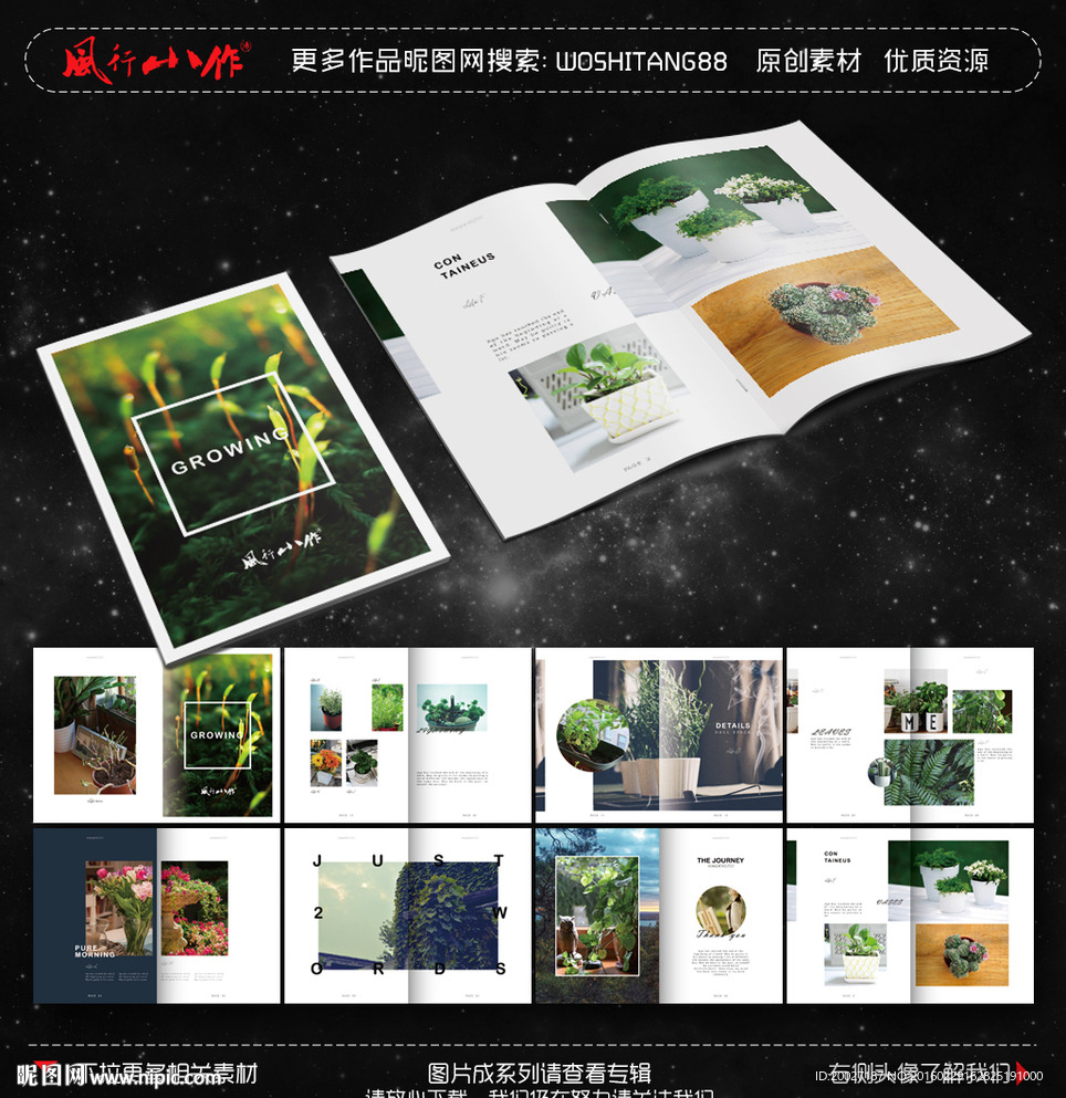 花卉植物画册图片