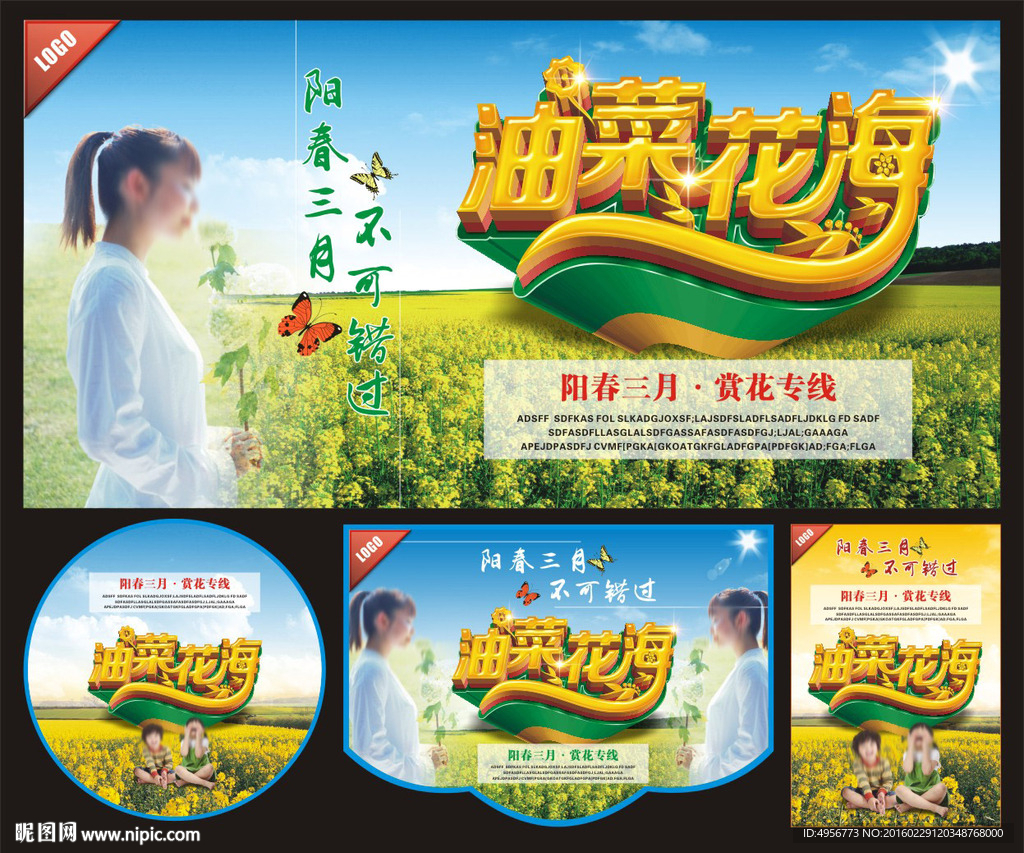油菜花海报