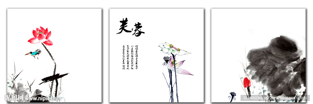 荷花图