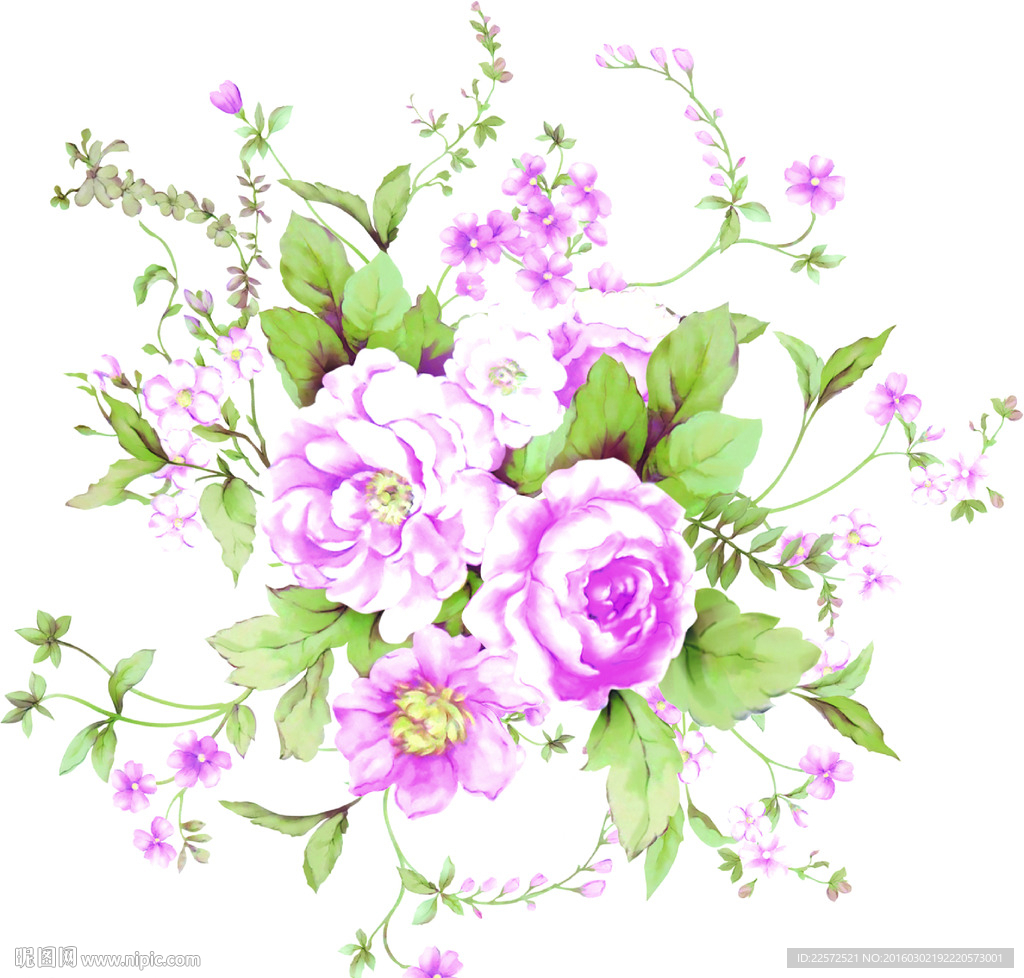 手绘玫瑰花