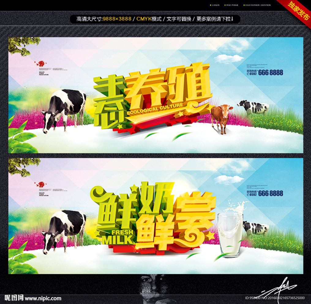 生态养殖 鲜奶鲜尝