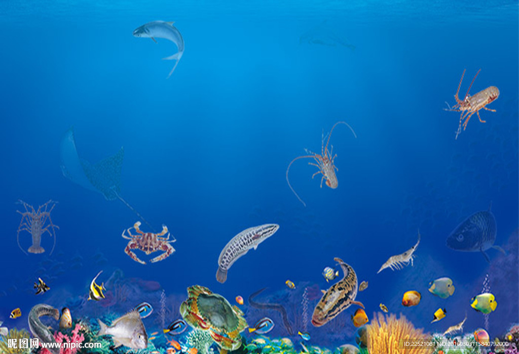 海底世界