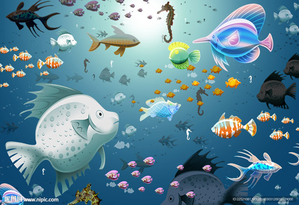 海洋世界 海洋动物