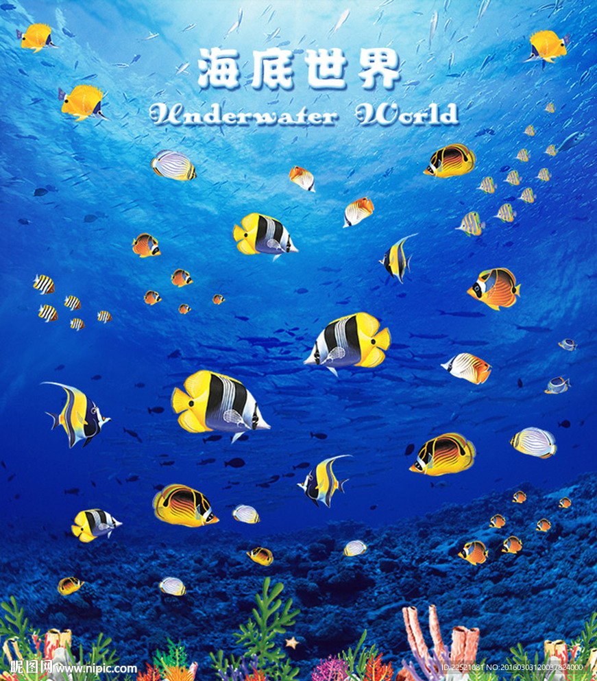 动漫海底世界封面