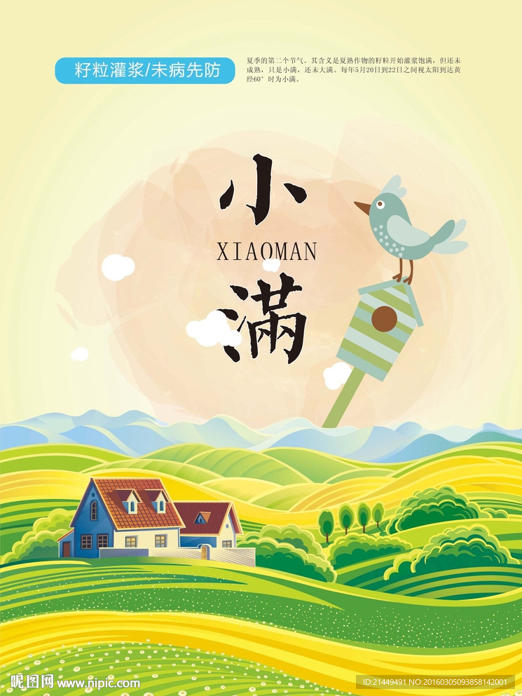 小满二十四节气