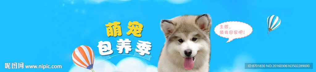 萌宠banner