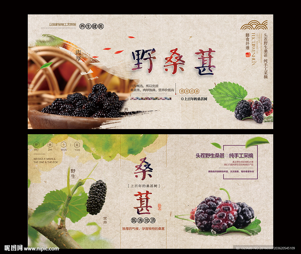 桑葚海报