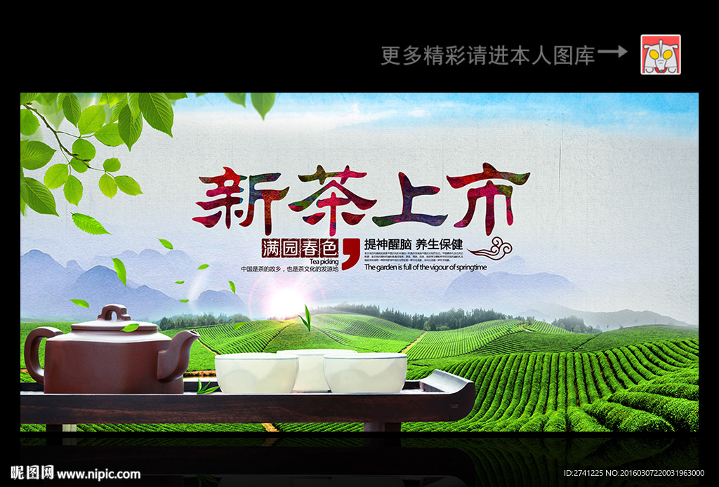 茶叶 新茶上市