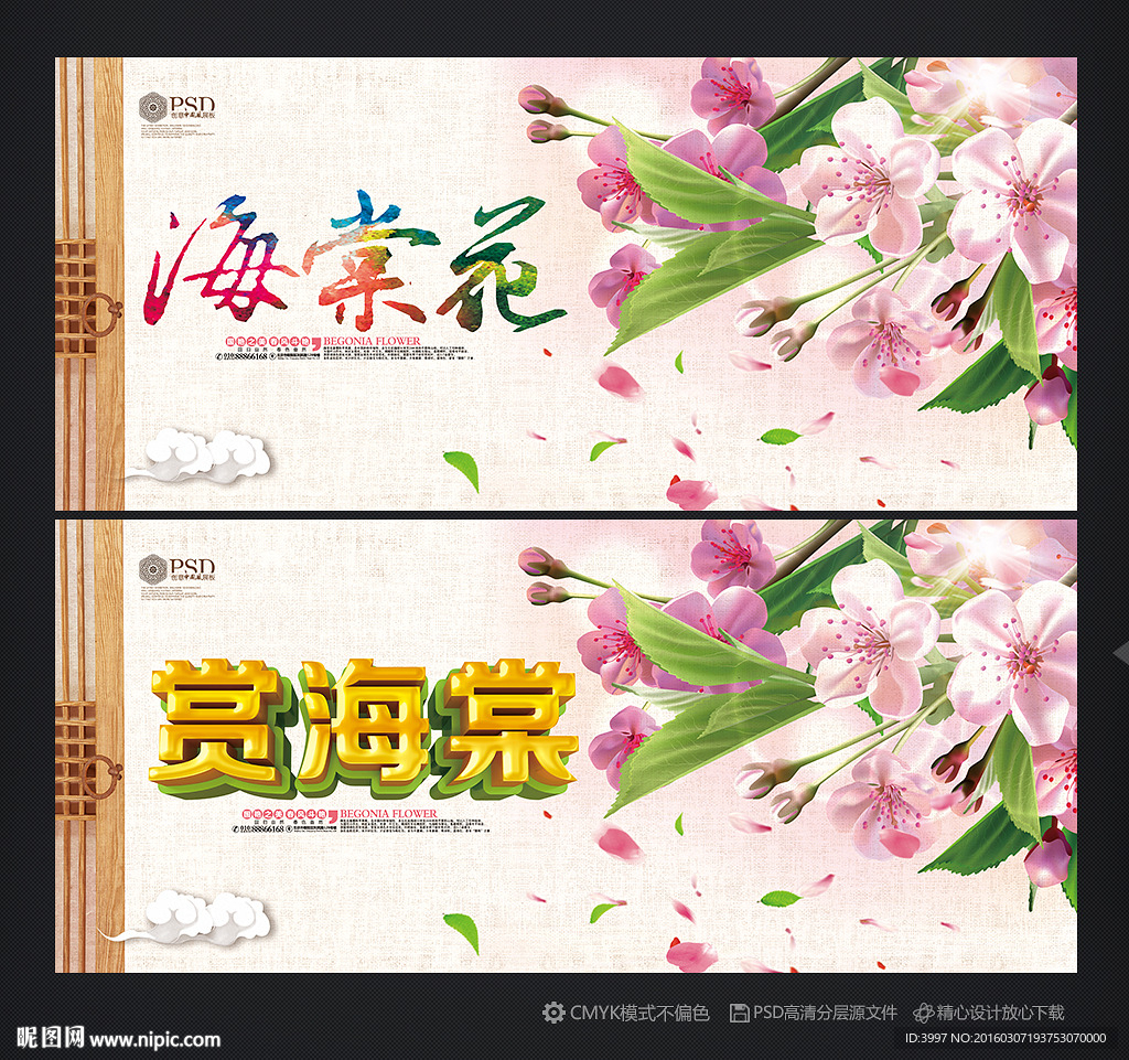 海棠花