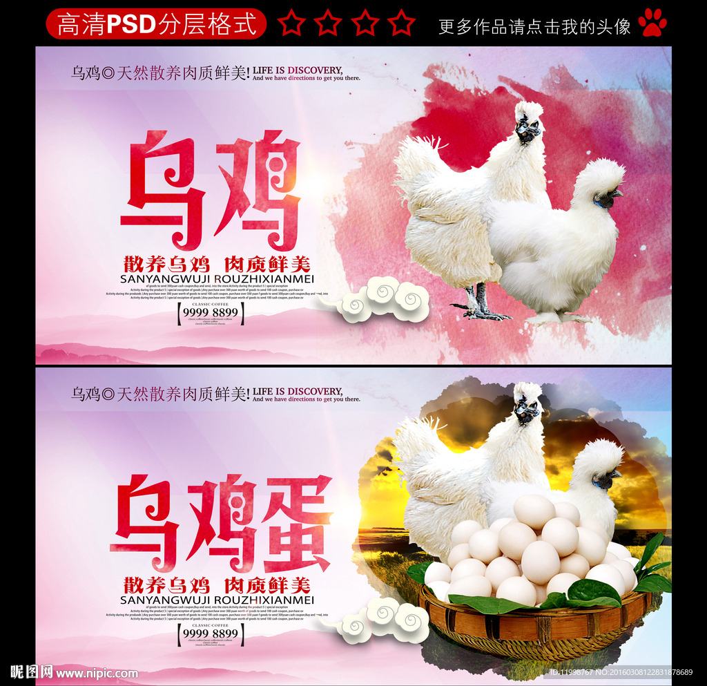 乌鸡