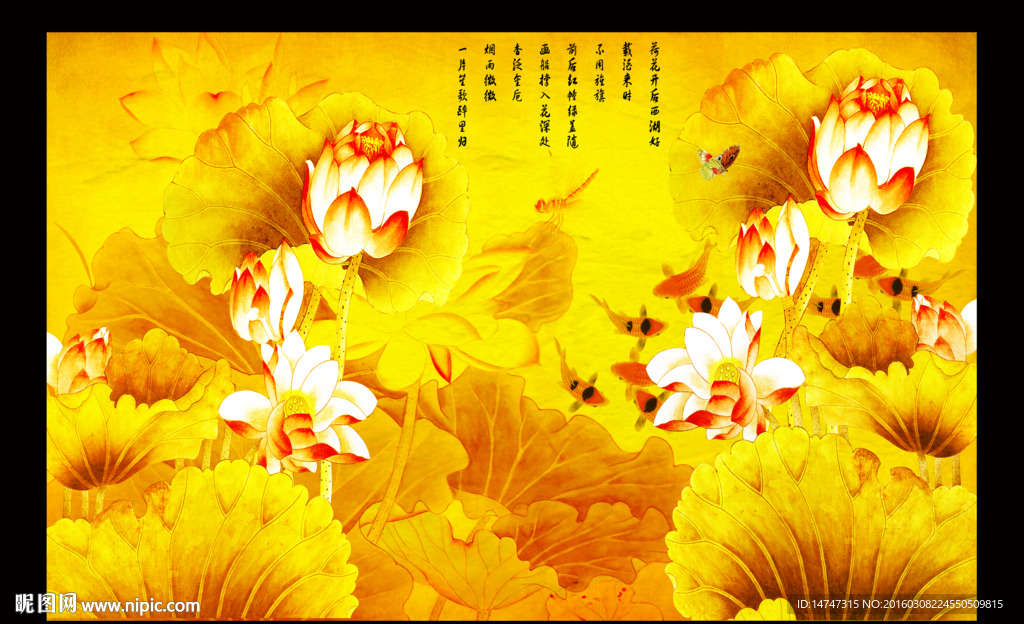 金色荷花