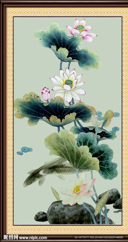 荷花鲤鱼图
