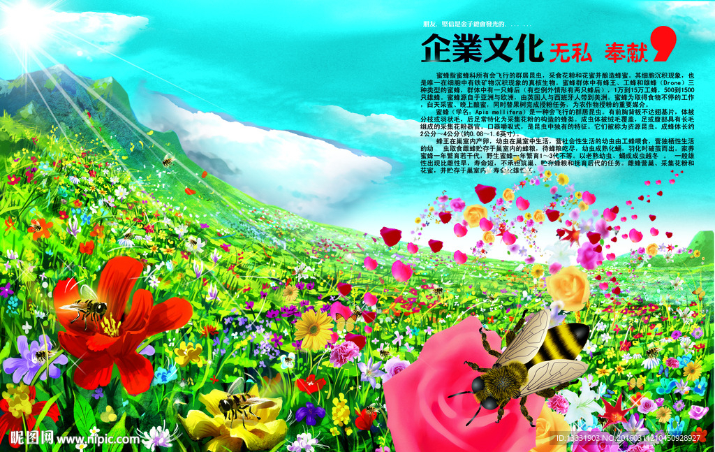 企业展板