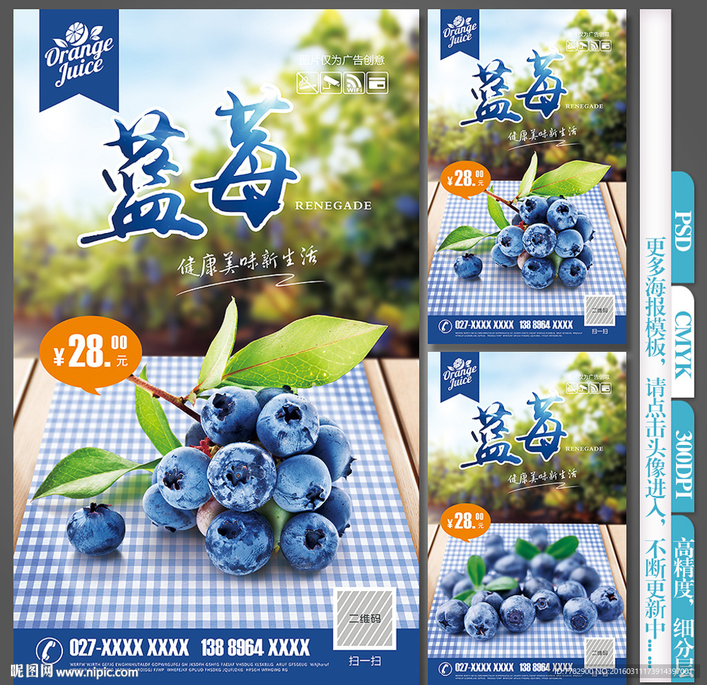 蓝莓海报