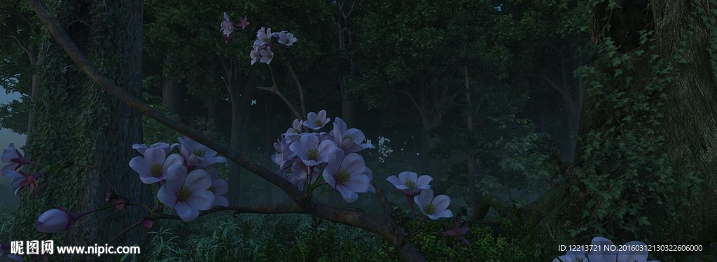 森林小花