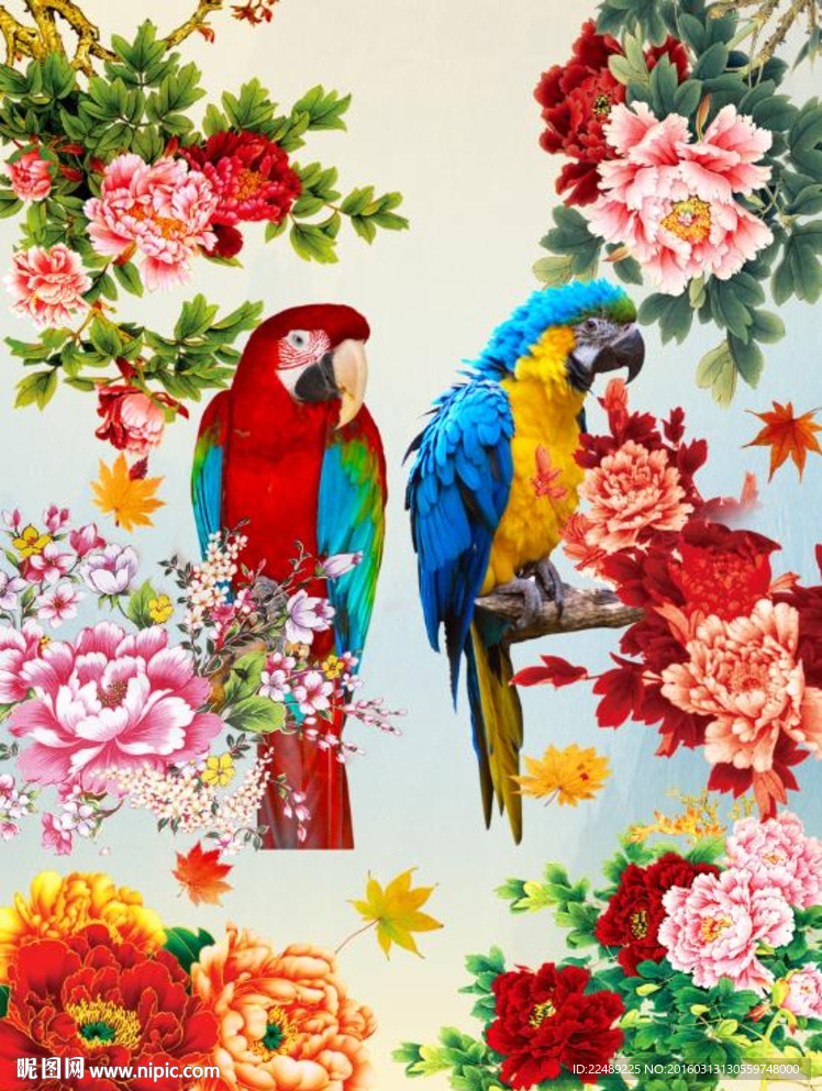 水彩花鸟（内含高清分层图）