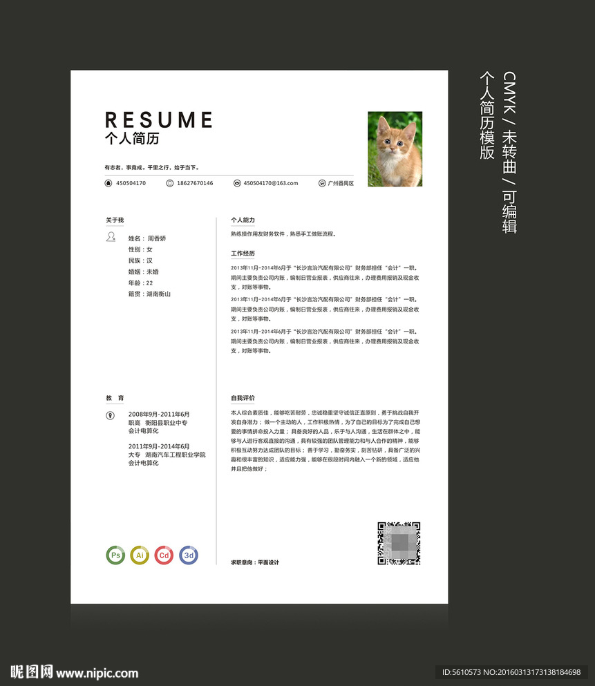 个性简历
