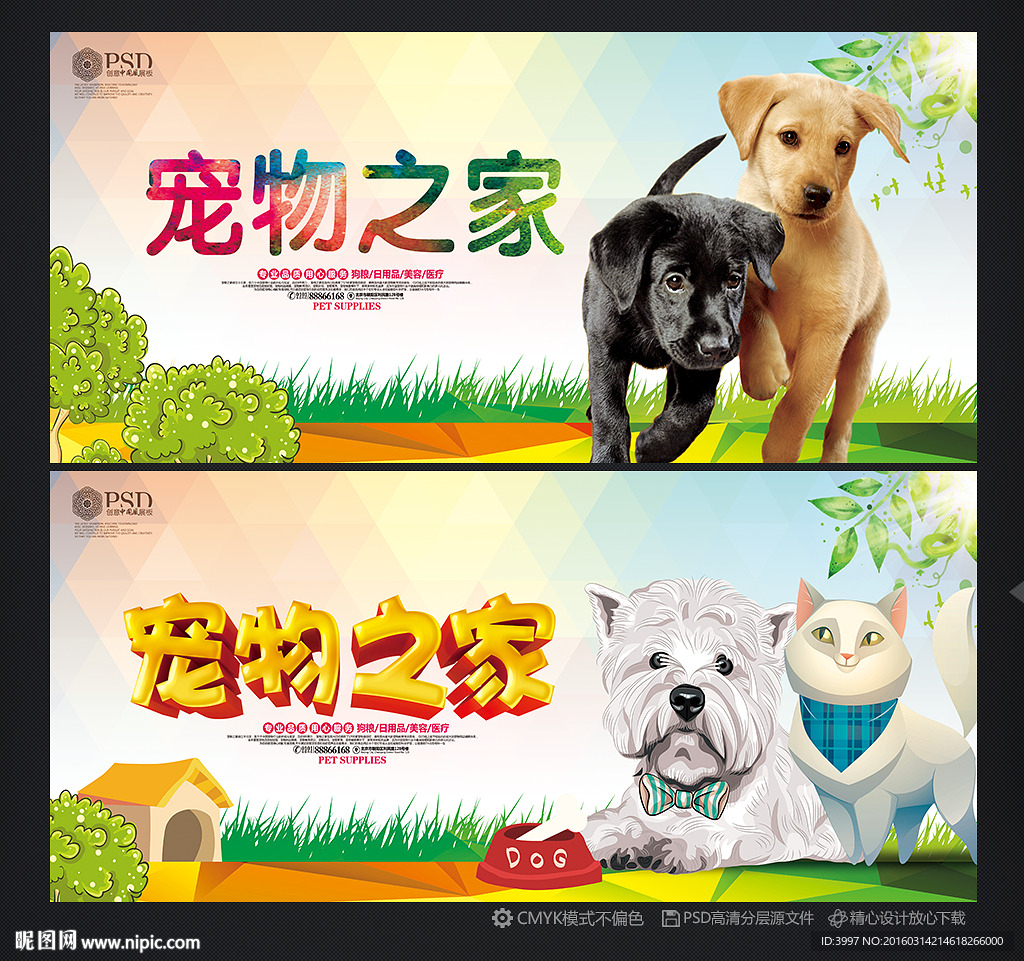 宠物