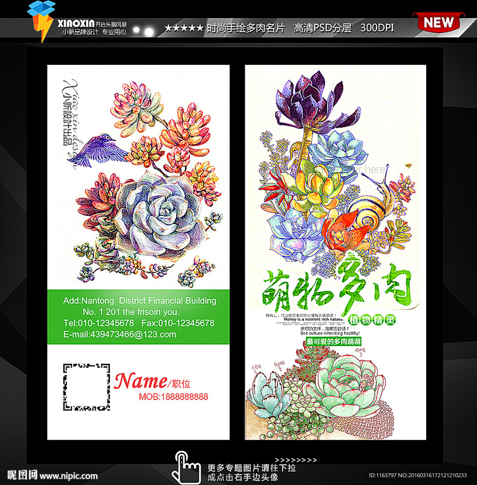 手绘多肉会员卡