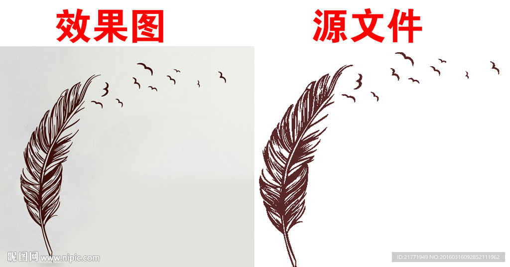 羽毛