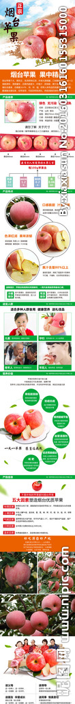 淘宝烟台红富士苹果详情页设计
