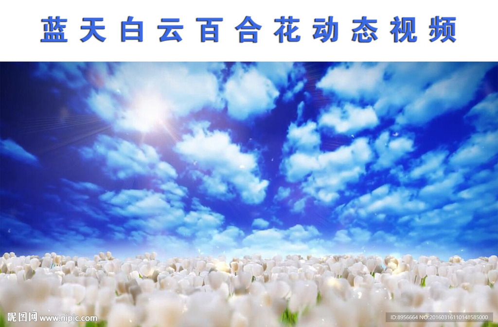 百合花LED视频