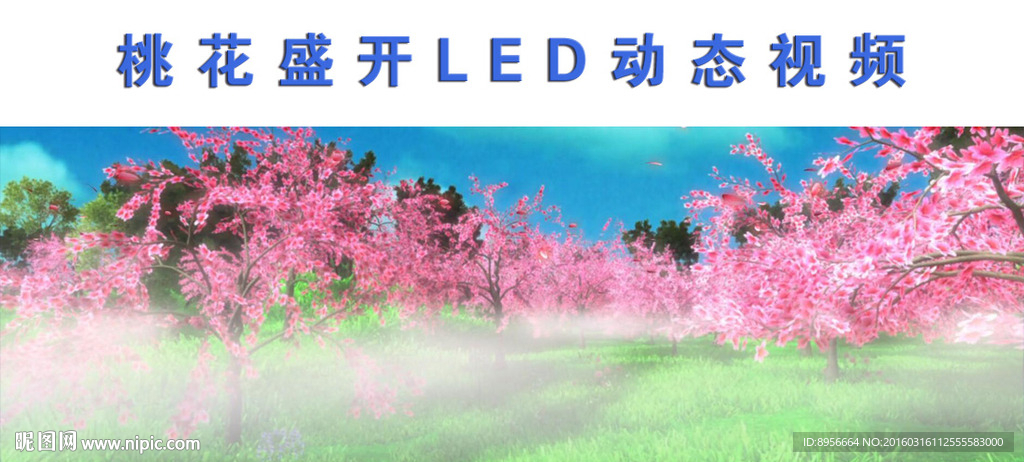 桃花园LED动态视频